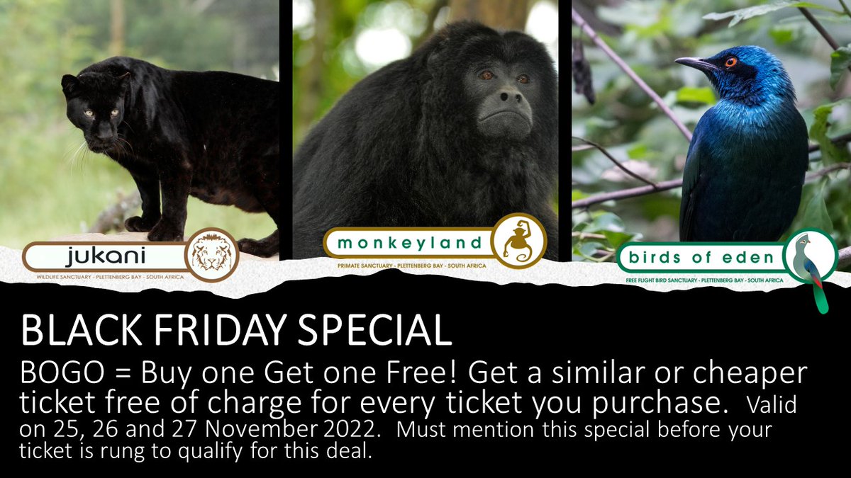 Birds_Eden's tweet photo. Yip it is true even our sanctuaries are running a #blackfridayspecial AND we are doing it for the WHOLE WEEKEND.  So pop on in and get your #blackfriday #bogo special this coming weekend. #saasavisit Mention this special before your ticket is rung to get the deal. https://t.co/wLSBo8AWbS