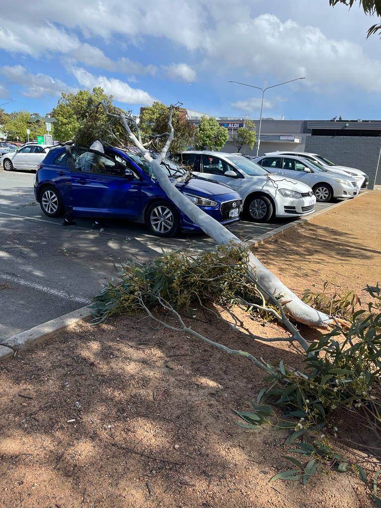 Ranga Tiruman tweet media