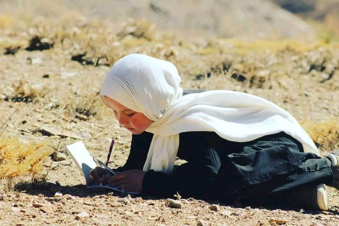aliMohammad625's tweet photo. ن��ل دانایی... نسل فردا..
#StopHazaraGenocide https://t.co/KSbvmkCZGc