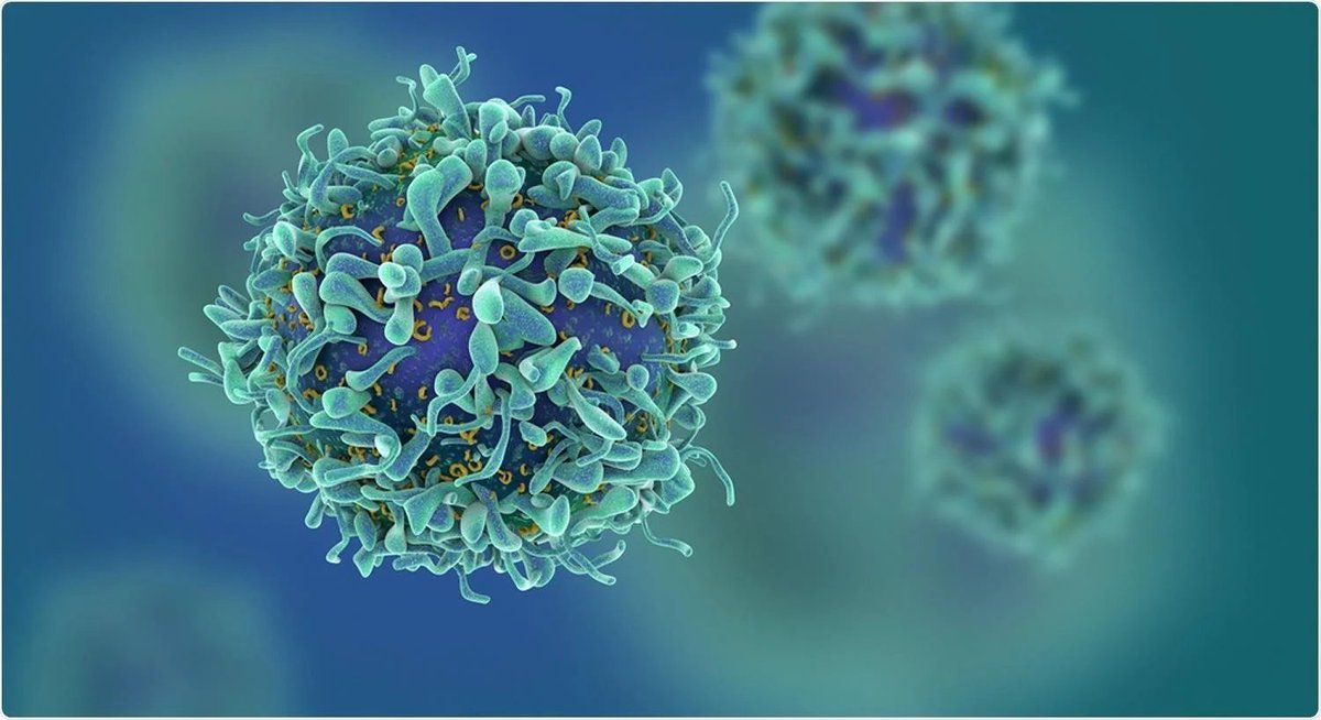 CellularImmuno's tweet photo. Researchers identify specific T cell required to bolster vaccine immunity against fungal pneumonia
#Cellular #Clinical #Immunology #Humoralresponses #Journal #Openaccess #Research #Article #submission https://t.co/WX4uKOpYtH