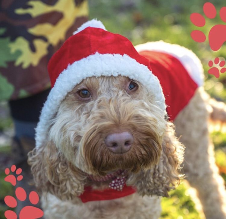 EX-PAW MCR tweet media