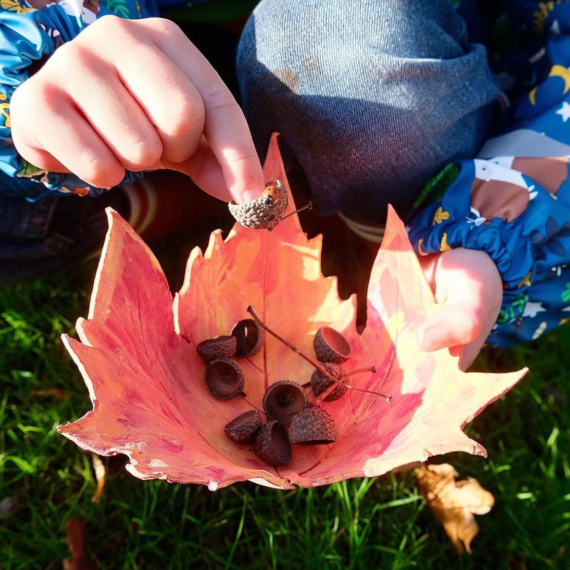 MudandBloom's tweet photo. Make a clay leaf bowl!🍁🌈
This is one of the activities in our November box. We provide air drying clay, autumnal coloured gouache paints and a wooden paintbrush. You just need to find a large leaf! Maple or sycamore work well 🍁
📷 @ puttputt82 on Instagram
#leafcrafts https://t.co/THhfRaUJVn