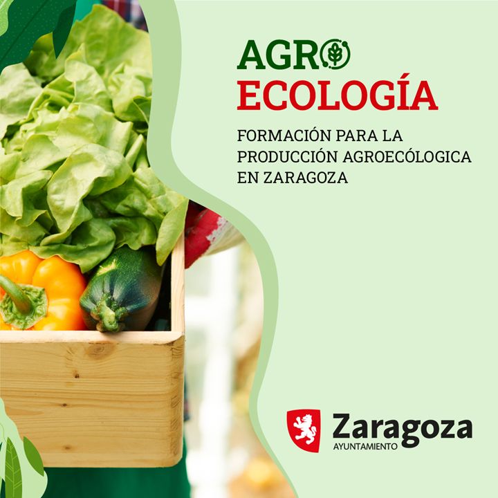 Curso "Técnicas de Compostaje" del Programa Formativo de Agroecología impulsado por Zaragoza Dinámica.  #CursosGratuitos #formación 
🙋‍♀️ Semipresencial
📅 15/12/22 al 13/01/23
⏳  30h.
✅ Más información 👇
zaragozadinamica.es/component/busc…