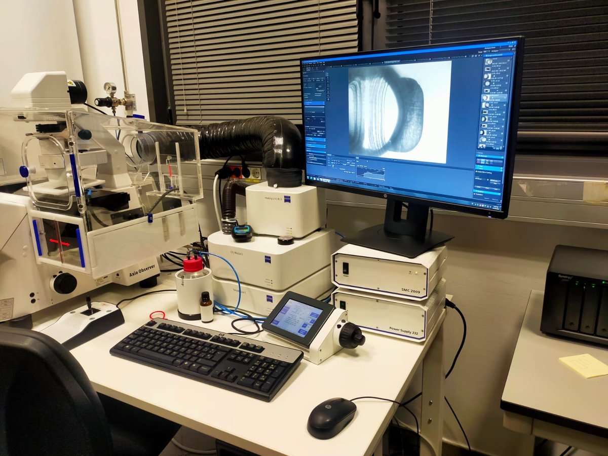 Federacion_ASEM's tweet photo. 🙋El sábado asistimos al evento divulgativo: "Bioingeniería para la investigación de las Enfermedades #Neuromusculares" 🧬, organizado por @IBECBarcelona

Un interesante encuentro donde conocimos los diferentes caminos que está tomando la ciencia para investigar en este campo 🔬 https://t.co/YGcLatombV