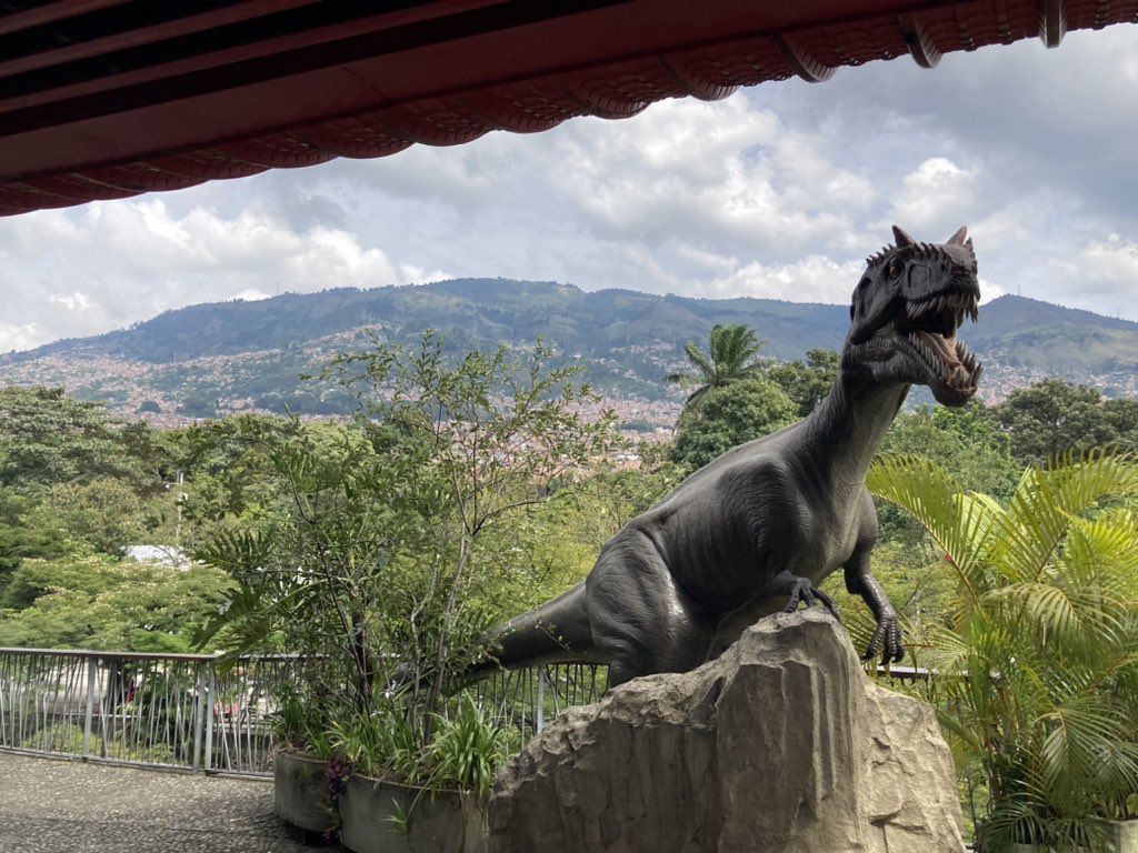 CoachWandering's tweet photo. If you were a dinosaur 🦕 which one would you be any why? 

Also what do you think other people would say and why? 

My husband would probably say I’m a t-Rex before I’ve been caffeinated and fed. 

Once I’ve woken up and been fuelled I would say I’m like a stegosaurus, gentle. https://t.co/pkKOraxEb2