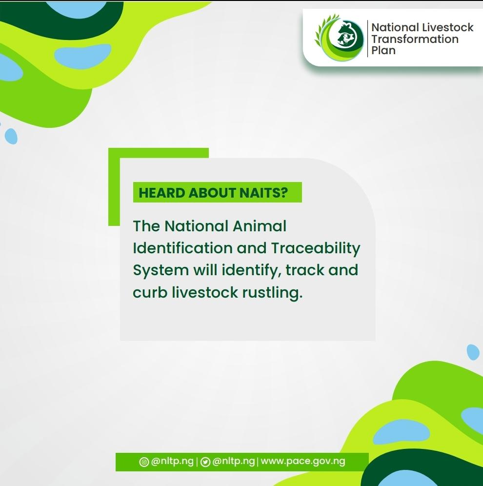 NLTP_NG's tweet photo. NLTP gains momentum as the Minister of Agriculture and Rural Development, Dr. Mohammad Mahmood Abubakar, launches the NAITS in Abuja. NAITS will also provide provision of credit and insurance, livestock movement control, animal recording for genetic improvement and research, https://t.co/GzZPy4Pk1Z