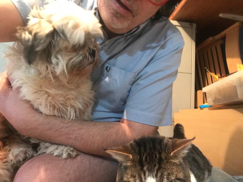 Beautys Legacy registered charity 1194186 (@beautys_legacy) on Twitter photo Urgent‼️Elderly shihtzu cross, stolen by North african male, long dark-haired, bad teeth, in Finsbury Park N4. Met police enquiries ongoing. #findria <a href="/metpoliceuk/">Metropolitan Police</a> <a href="/BBCRadioLondon/">BBC Radio London</a> <a href="/FinsParkFriends/">Friends of Finsbury Park</a> <a href="/MPSFinsburyPark/">Finsbury Park Police</a> <a href="/itvnews/">ITV News</a> <a href="/reallorraine/">Lorraine</a> Urgent‼️Elderly shihtzu cross, stolen by North african male, long dark-haired, bad teeth, in Finsbury Park N4. Met police enquiries ongoing. #findria <a href="/metpoliceuk/">Metropolitan Police</a> <a href="/BBCRadioLondon/">BBC Radio London</a> <a href="/FinsParkFriends/">Friends of Finsbury Park</a> <a href="/MPSFinsburyPark/">Finsbury Park Police</a> <a href="/itvnews/">ITV News</a> <a href="/reallorraine/">Lorraine</a>