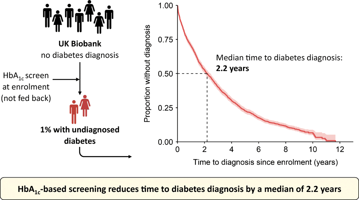 HbA1c-based screening for #type2diabetes in middle-aged adults reduces the time to diagnosis by a median of 2.2 years and identifies 1.0% with undiagnosed diabetes: an analysis in <a href="/uk_biobank/">UK Biobank</a> <a href="/DrKatieGYoung/">Katie Young</a> <a href="/john_den_/">John Dennis</a> <a href="/Exeter_Diabetes/">ExeterDiabetes</a> <a href="/ExeterMed/">Exeter Med School</a> bit.ly/3u5R0Ox