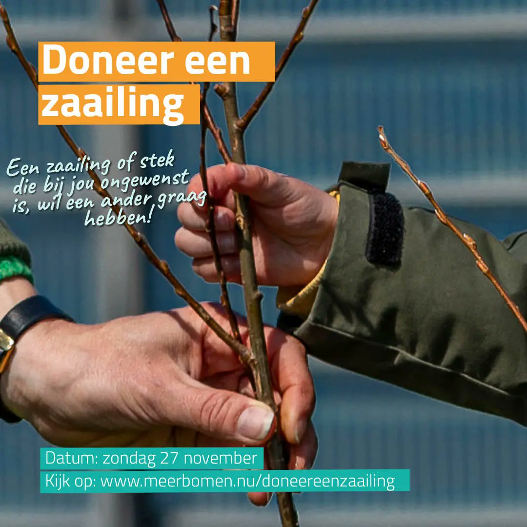 Aan het werk in je tuin? Gooi je zaailing of stek niet weg, maar lever ze in! Op 27 November kan je door het hele land heen zaailingen en stekken inleveren zodat wij er iemand anders weer blij mee kunnen maken. #verplanteenboom
Kijk op: meerbomen.nu/doneereenzaail…