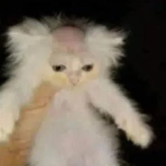 dont i dont wanna think about it