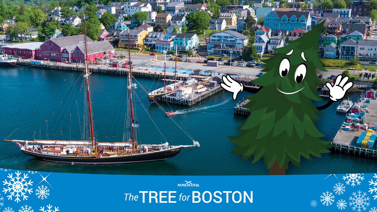 TreeforBoston's tweet photo. It’s day four of #NSFriendsForBoston!
⛵️ Today, we’re headed to Lunenburg to meet @SailBluenoseII! In its heyday, Bluenose II’s predecessor, Bluenose, was SUPER FAST! The ship was undefeated in international competitions for 17 years! No wonder it’s on our Canadian dime! https://t.co/2pwzz08Ziu