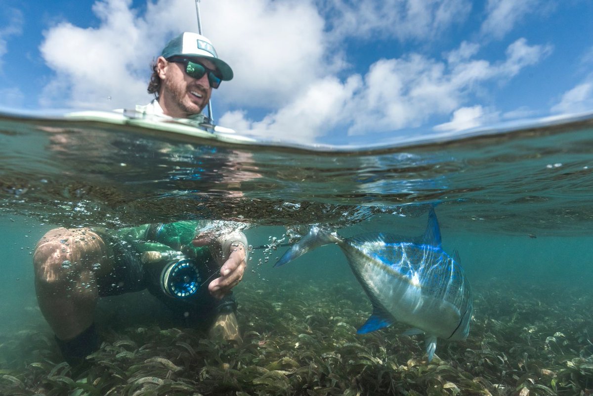 They always swim away strong!

#Alphonse #OuterIslands #CatchAndRelease #Bluefin #BluefinGT #FlyFishing