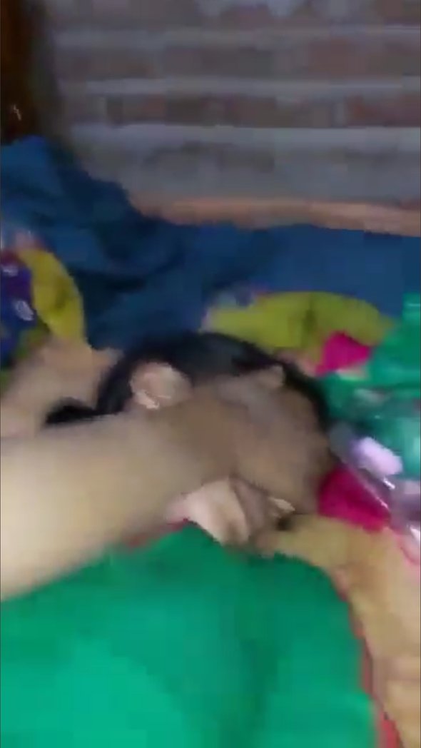 RodhamKumar1's tweet image. 