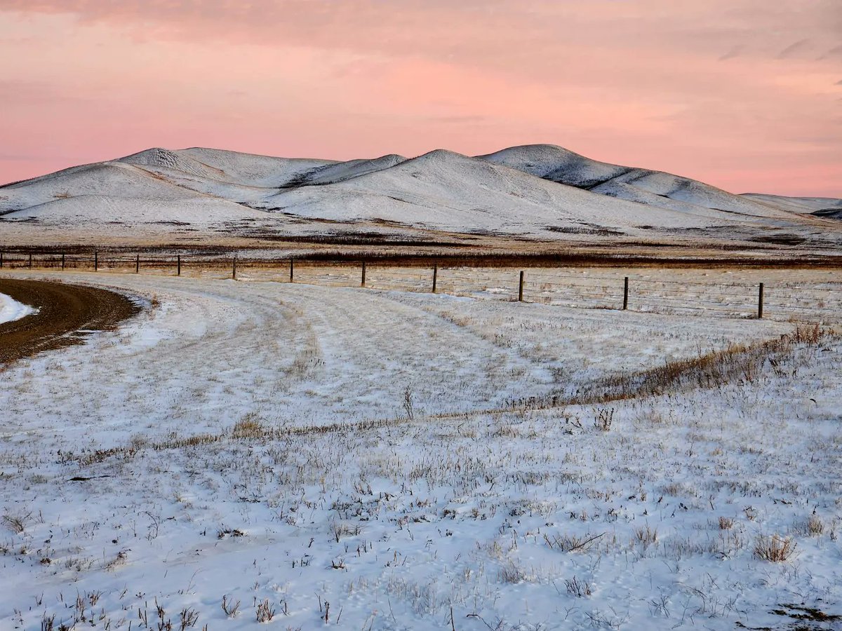 CochraneDjc's tweet photo. North of Forget Sk. What they call The Gap. At the foothills of the MooseMtns. As the sun went down Saturday evening. No filter required from a Samsung G22.
#explorer #mysask #forgetsk #samsungg22 #ifrozemyfingersforthis #pinksunset #moosemtn https://t.co/zsvxRu7gHw