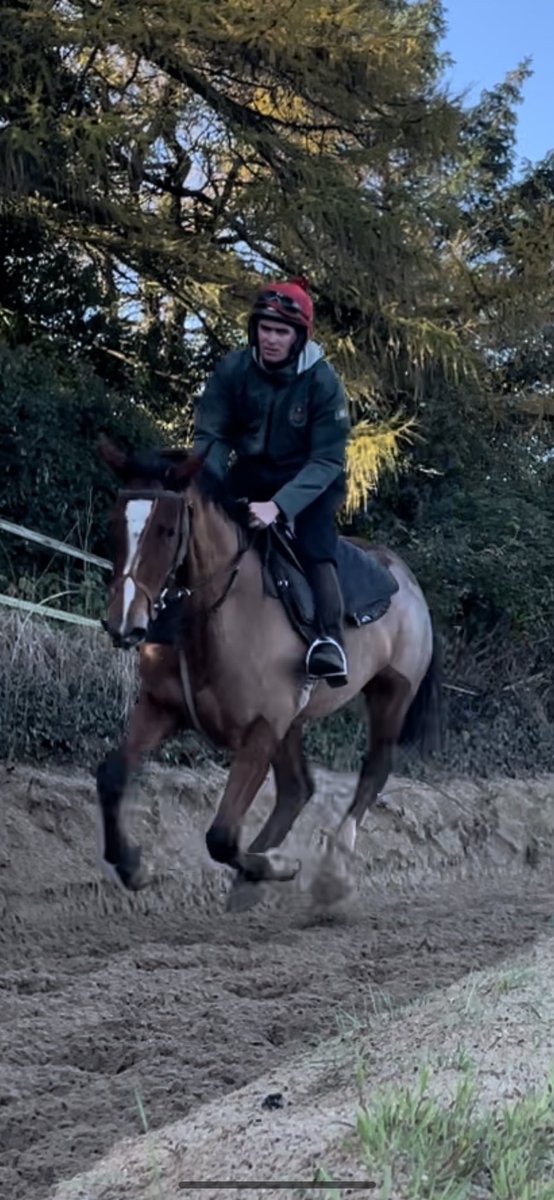 jamesfent's tweet photo. Blow your Wad kept honest &amp; wins in @kemptonparkrace for Tom Lacey and Stan Shepard , his full sister pictured in pre training under @ShaneFenton17 @HillviewStud for @ClosuttonRacing &amp; @WillieMullinsNH https://t.co/J2Zn5g0ZEo