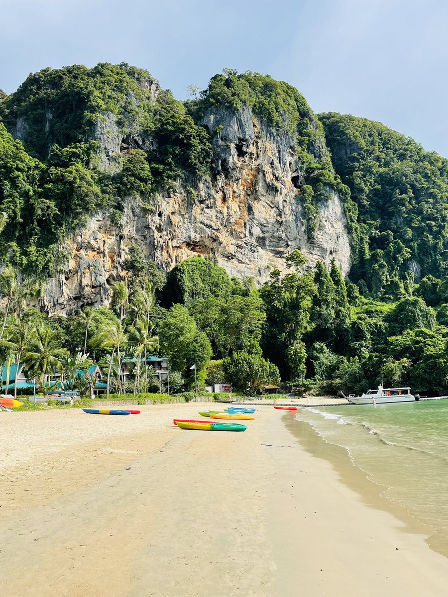 🌤Madame Manon 🏄‍♀️ tweet media