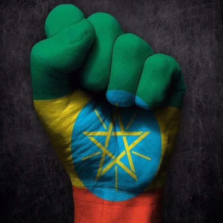 OROMUMA21's tweet photo. #DisarmOLA/#Shane https://t.co/Xeq3Pv5wk1