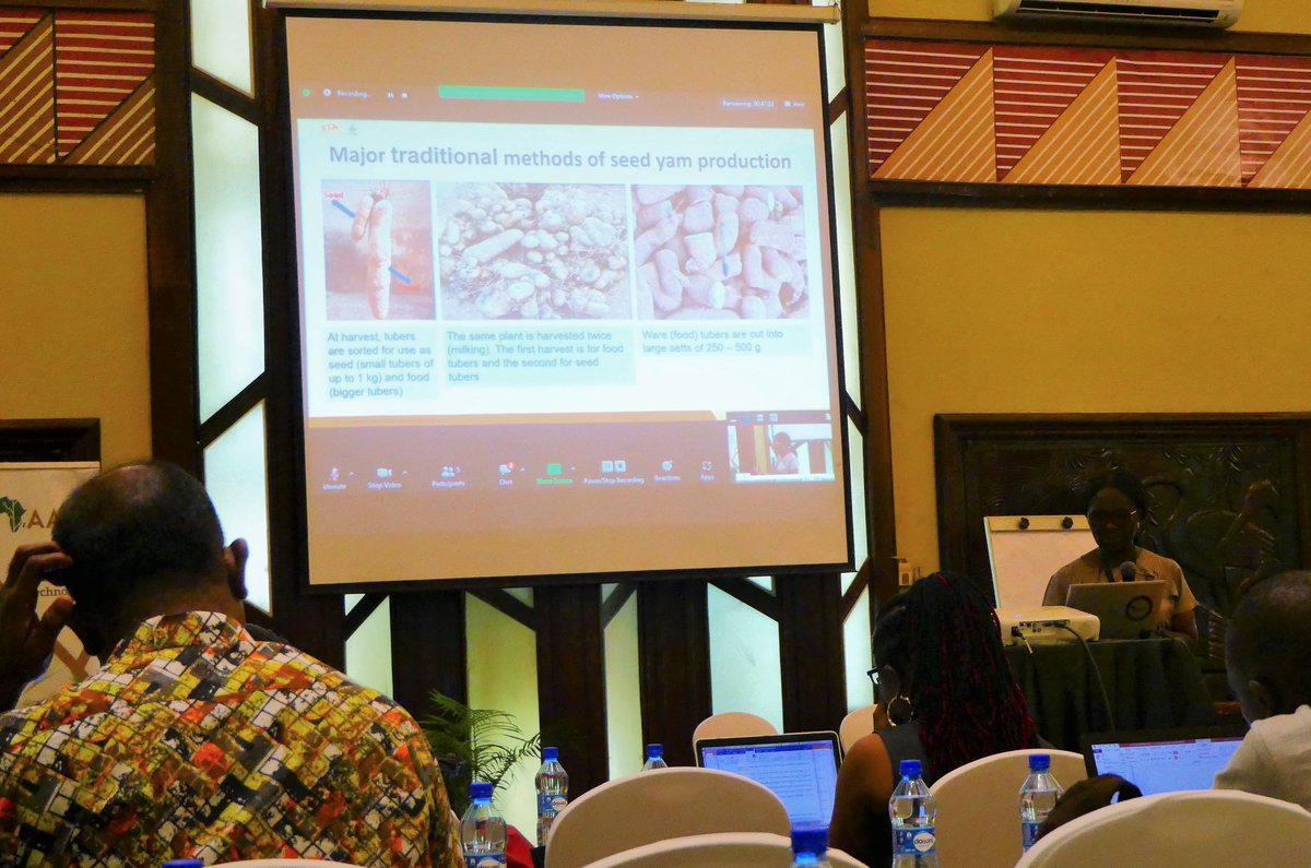 IITA Goseed is @ the ongoing #ISTRC2022  Sympozium in Nairobi, Kenya. Taking part in discussions around technological &amp; business innovations to strengthen cassava, yams &amp; other root&amp;tuber crops for resilient food, nutrition&amp; industrial systems for sustainable economic development