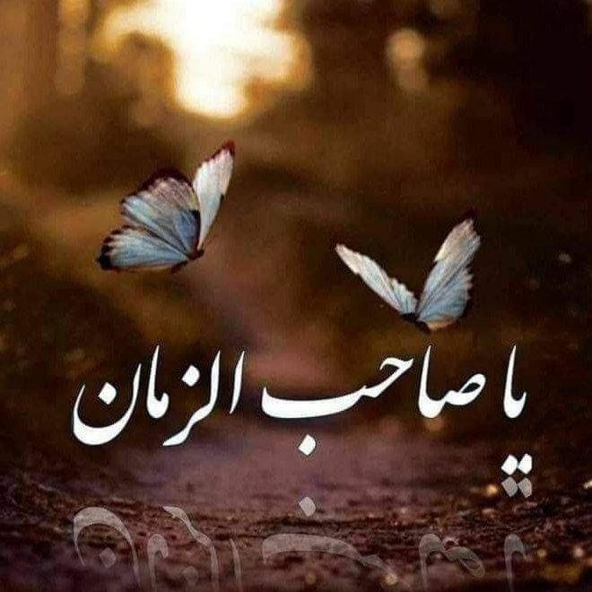 ف͒ہٰٰدُڪٰྀہٰٰٖ آلژھہرٰآء〞𓆪 #بصرتي tweet media