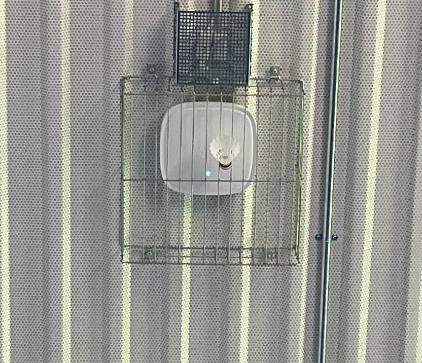 S_Nazlo's tweet photo. Perhaps something other than metal would be nice, please... 🤣

Does anyone know of any good solid cases or brackets to be used with APs which is not made of metal? https://t.co/o4qvOyFc1r