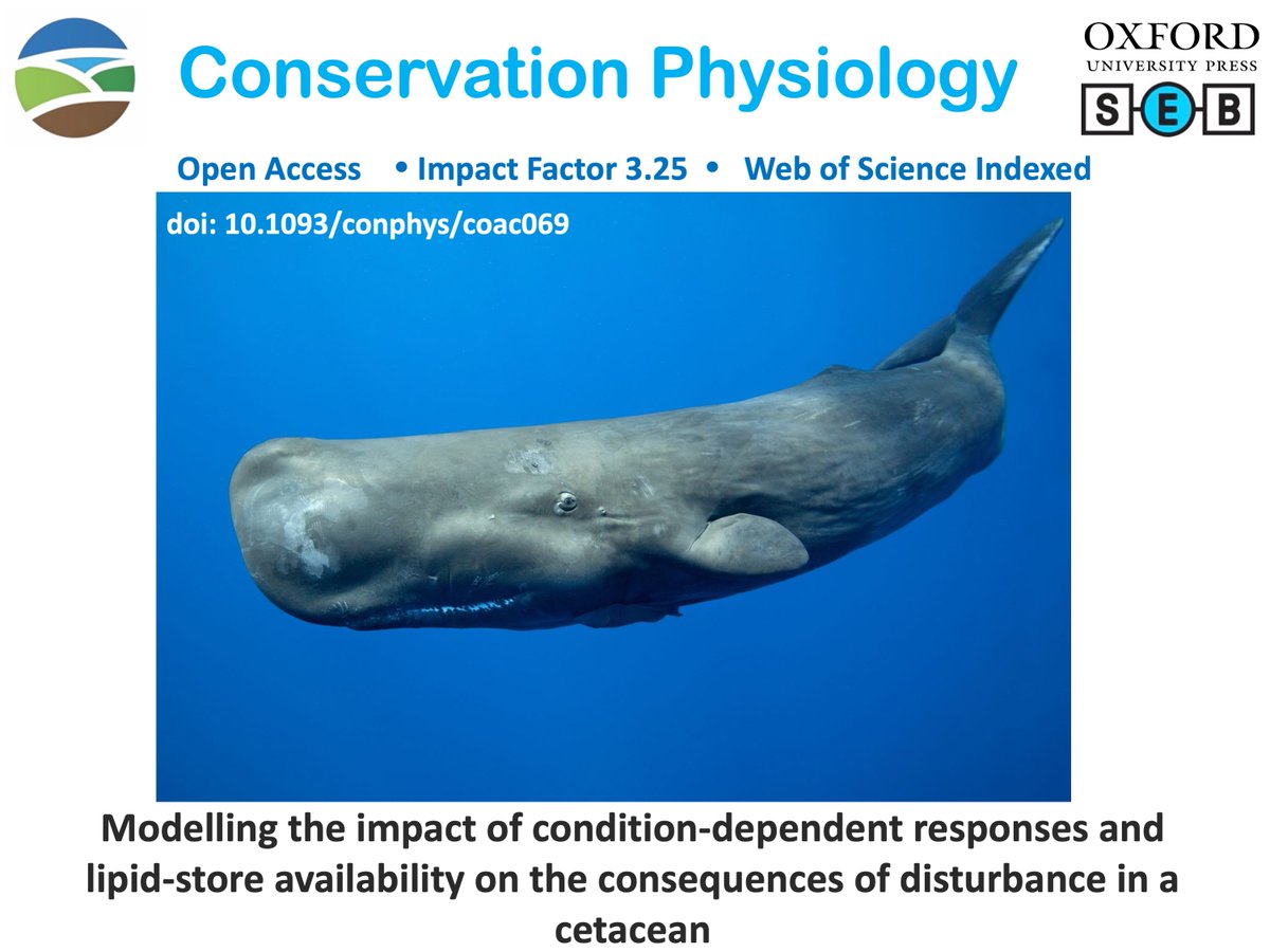 conphysjournal's tweet photo. New in #ConPhys!
Modelling the impact of condition-dependent responses and lipid-store availability on the consequences of disturbance in a cetacean
Read more here:
https://t.co/ZTZilDldlP
#disturbance #population #bodycondition #spermwhale https://t.co/GGhVk4A19U