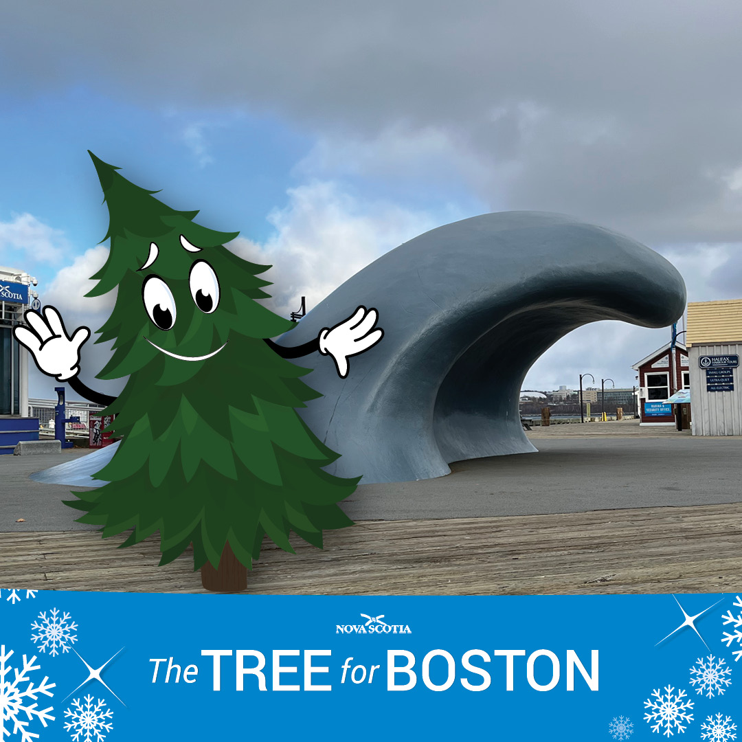TreeforBoston's tweet photo. 🌊 Lastly, let’s meet one last Nova Scotia icon, the Wave. All of this is making me very emotional as I “wave” goodbye to all of my friends. Nova Scotia is truly a special place, but I’m looking forward to being in my new home! 🎄❤️
#NSFriendsForBoston #TreeForBoston https://t.co/j6HzfFN1Dg
