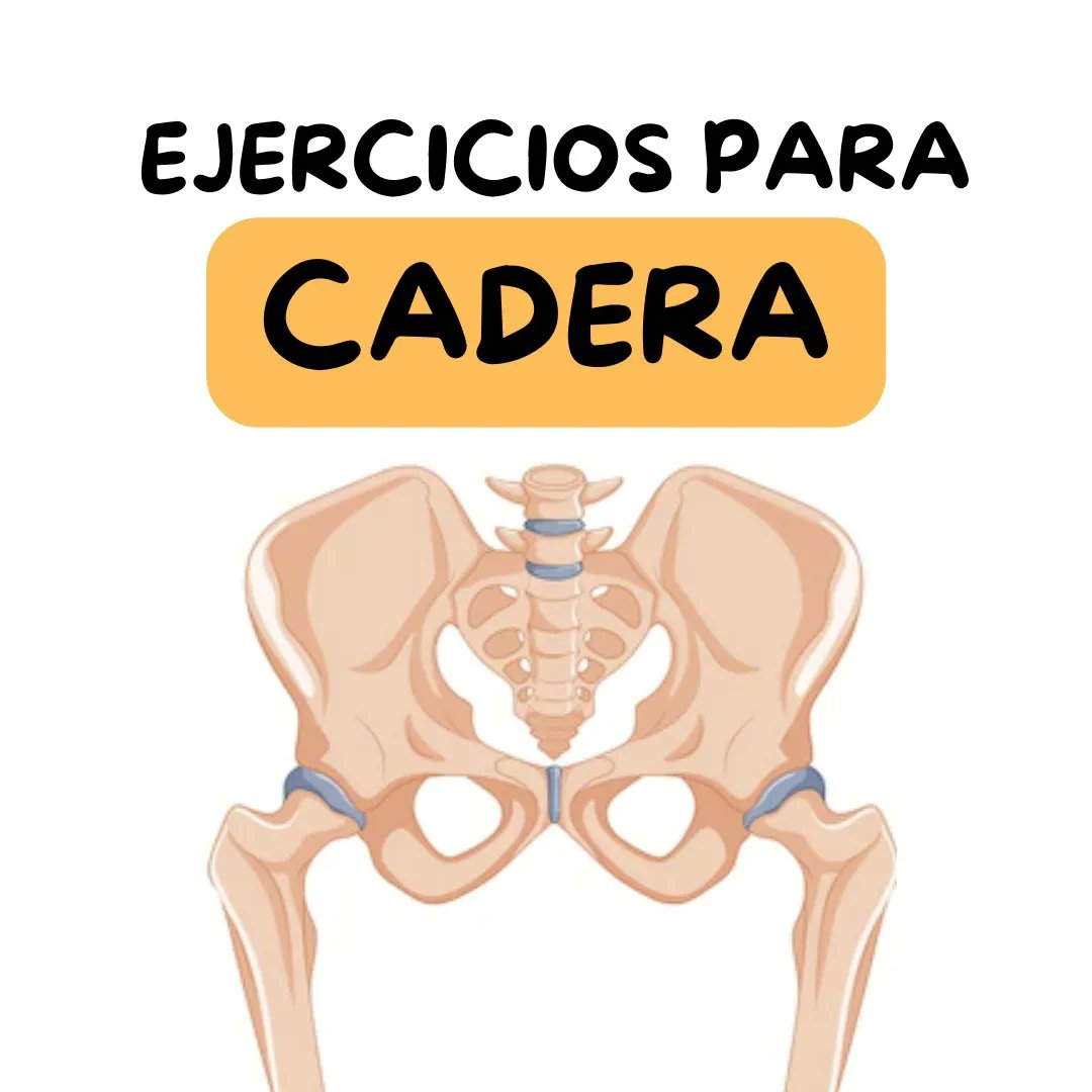 albaafisio's tweet photo. Propuesta de 5️⃣ ejercicios para cadera
https://t.co/RtunIm6Nn6 https://t.co/swL3GJsoLW