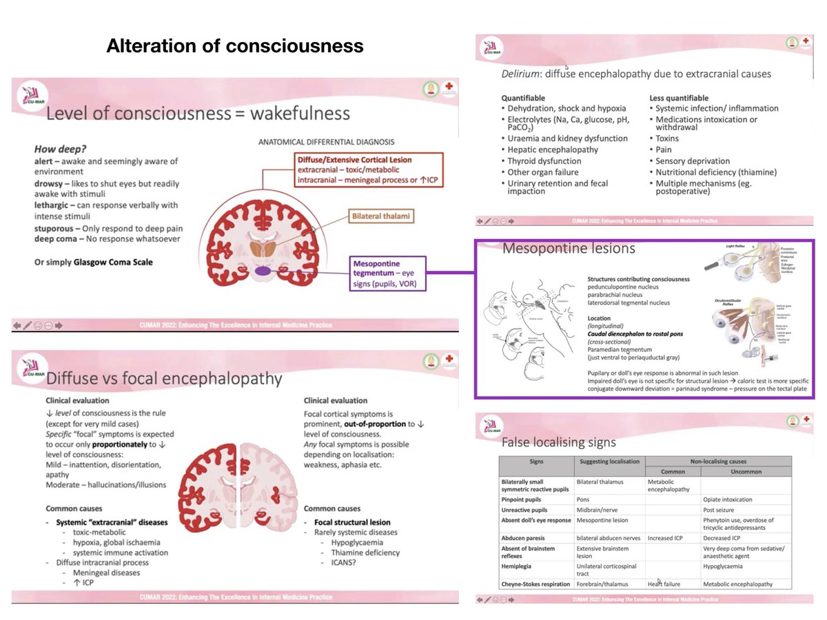 heijix86's tweet photo. คนไข้ซึมต้องหา focal sign ซึ่งมักบ่งถึง structural lesion ควรไป brain imaging แต่ลำพัง focal lesion มักไม่ซึมแด่ว ยกเว้นกระทบต่อ bilat thalami หรือ mesopontine teg – ในทางกลับกันรอยโรคที่ 2 ตน.นี้เพียวๆอาจให้อาการแบบ diffuse cortical ได้

Hypogly, Wernicke ให้อาการแบบ focal ได้นะ https://t.co/Pj6eAJkWNI