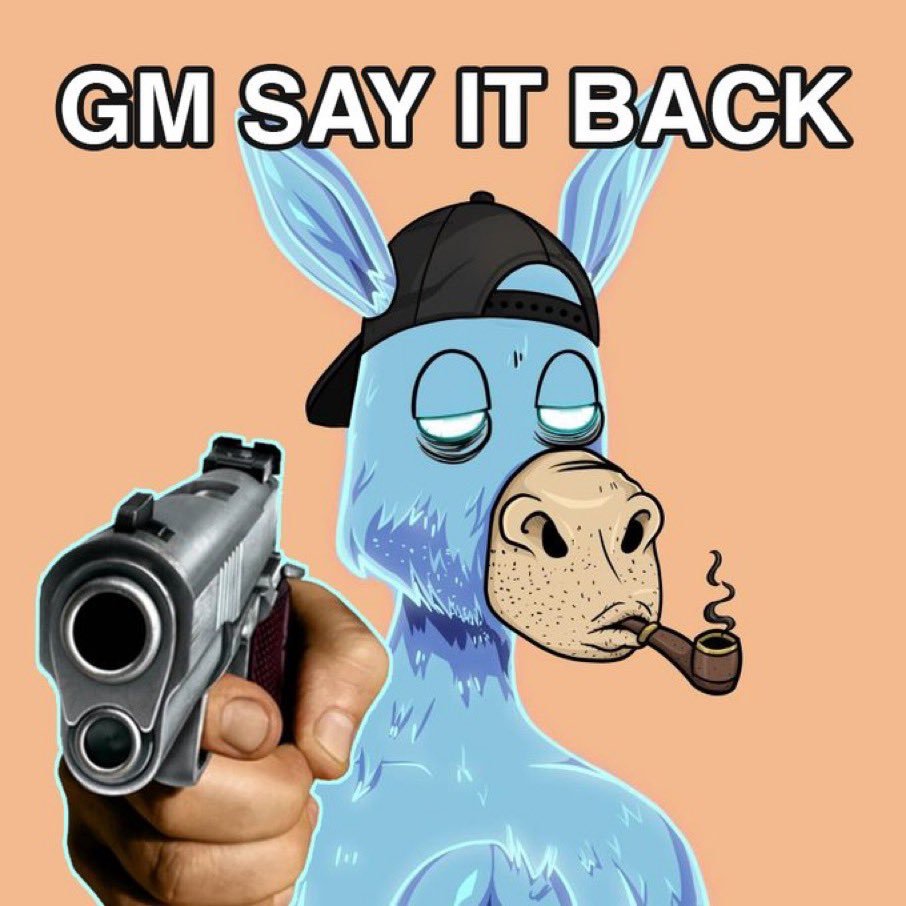 Dumbass Donkeys tweet media