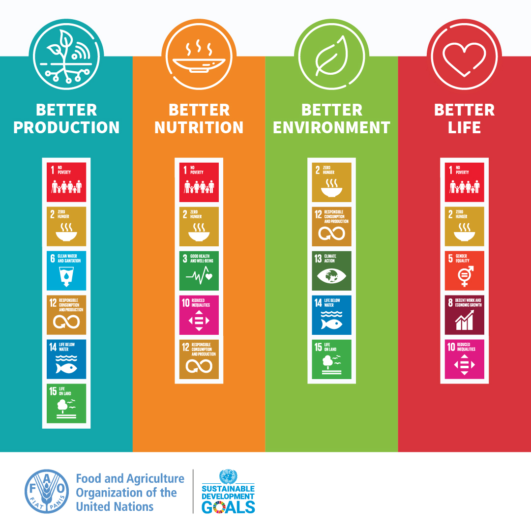 Let's transform our agrifood systems for:

🔹Better production
🔸Better nutrition
🔹Better environment
🔸Better life, leaving no one behind.

A sustainable &amp; food secure world for all is possible if we work together.

#4Betters