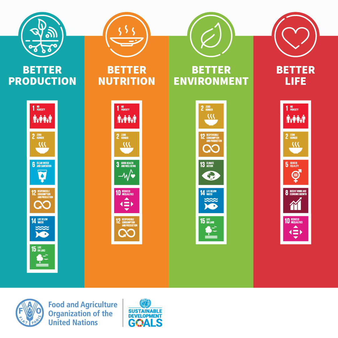 Let's transform our agrifood systems for:

🔹Better production
🔸Better nutrition
🔹Better environment
🔸Better life, leaving no one behind.

A sustainable & food secure world for all is possible if we work together.

#4Betters