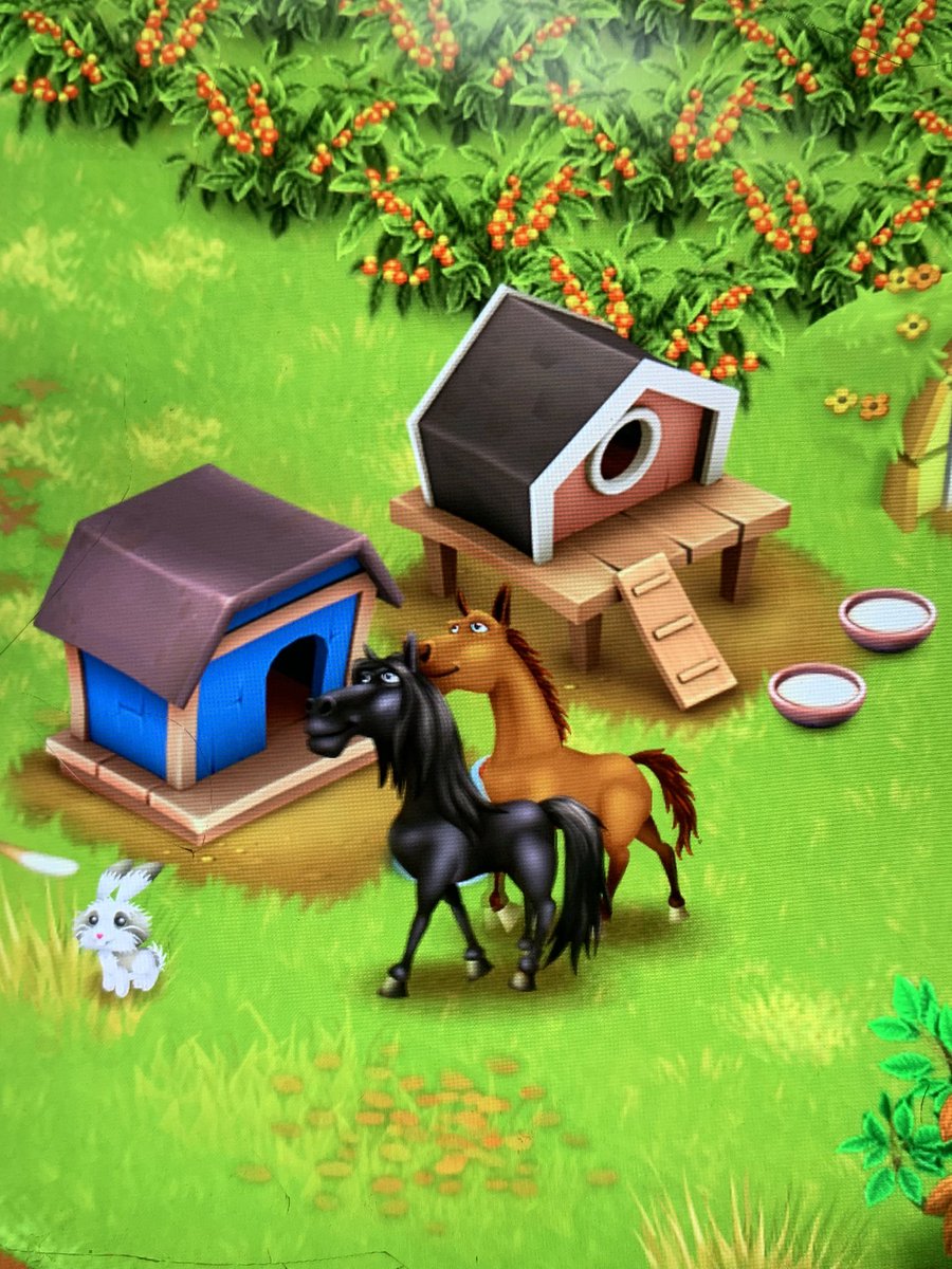 Kepencet beli kuda hitam😃😃🥲