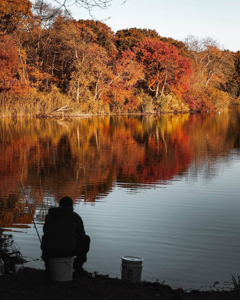 ericamango_'s tweet photo. Hello Monday 🥶 Fall is quickly fading but I still have some more work to share. Already missing these days. Have a great week everyone! 

#longislandny #longislandphotography #massapequa #teamcanon #fallreflections #createnomatterwhat #luckytolivehere #beautifullandscapes #n… https://t.co/8m6tKdMTT9