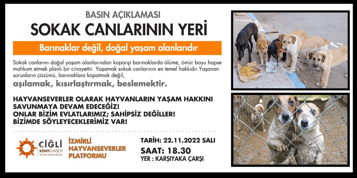 🔻🔻🔻🐾İZMİR🐾🔻🔻🔻
YEREL HAYVAN KORUMA GÖREVLİLERİ, DERNEK, STK ve FEDERASYONLAR..
🔻22.11.2022 TARIHINDE CANLARIMIZ ICIN TEK YUREK TEK NEFES OLALIM..
🔻18.30 BASIN AÇIKLAMASI..
🔻Karşıyaka çarşı