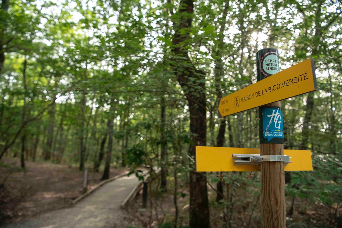 Haute-Garonne tweet media