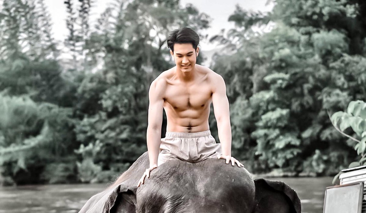 theshabar's tweet photo. อยากเป็นตุ๊กตาช้างบนเตียงเธอ 🐘😊😘😍 lll ig : poom_kiatipoom #เสพติดผู้ชาย @theshabar2 https://t.co/QEFlkutvgb
