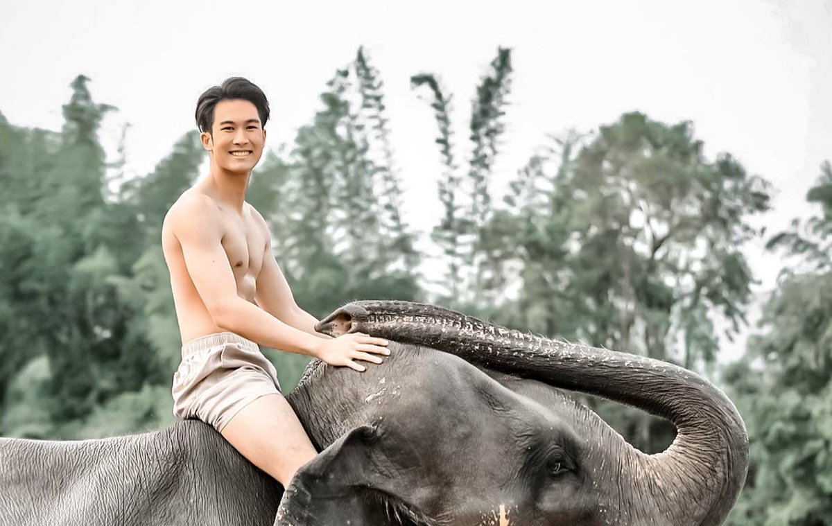theshabar's tweet photo. อยากเป็นตุ๊กตาช้างบนเตียงเธอ 🐘😊😘😍 lll ig : poom_kiatipoom #เสพติดผู้ชาย @theshabar2 https://t.co/QEFlkutvgb