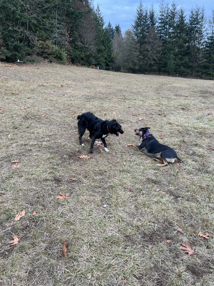 2StupidDog's tweet photo. https://t.co/h0DTQeUBSs