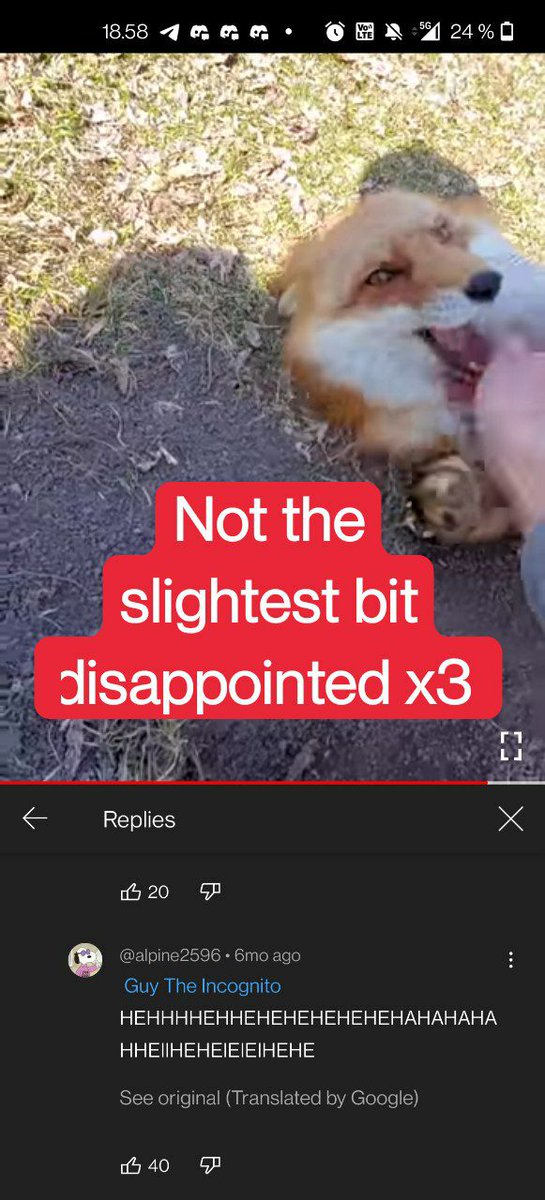 This legit just happened to me xD
#WhatFoxesSay