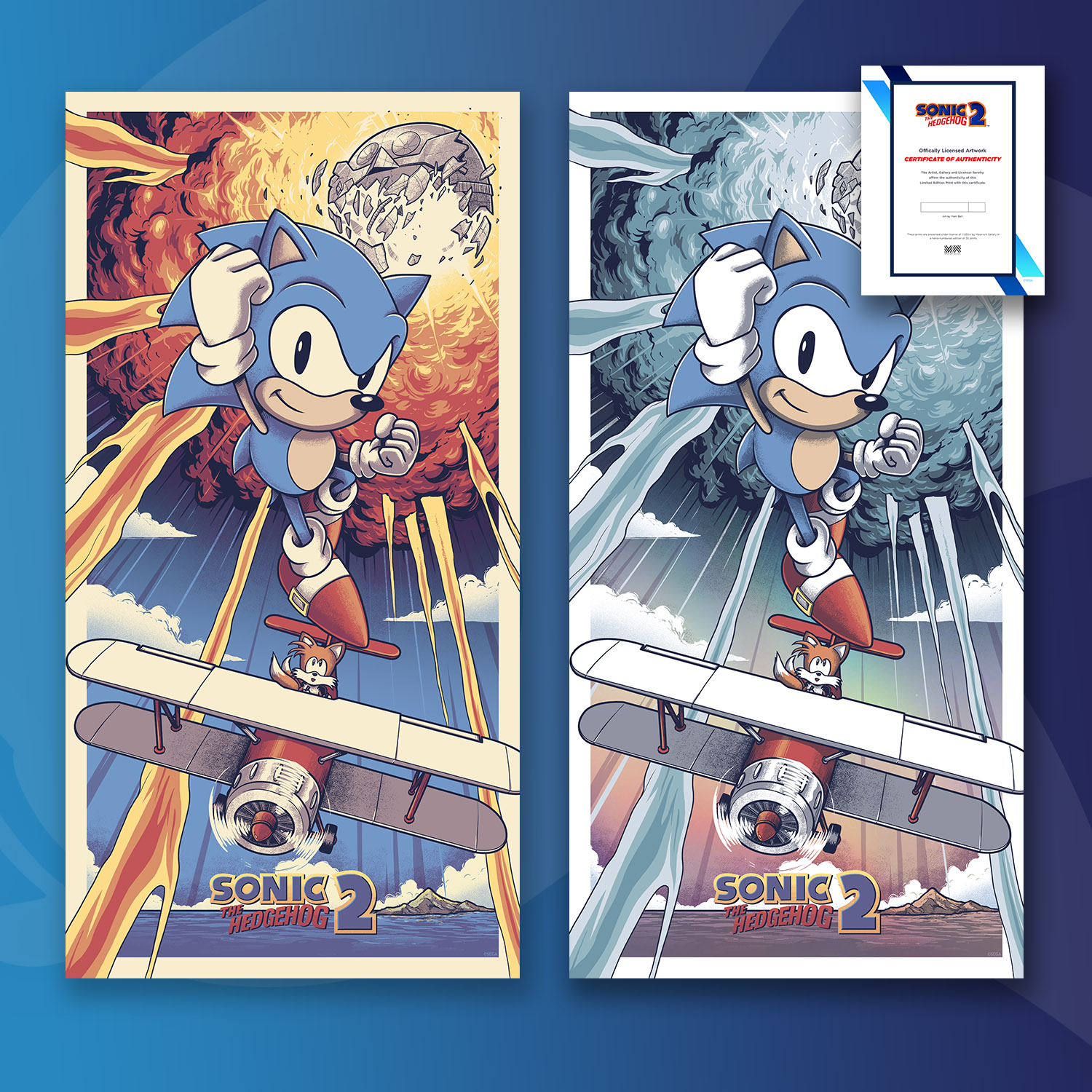 SEGA on Twitter "Happy 30th, Sonic the Hedgehog 2! 🎉 Celebrate with us