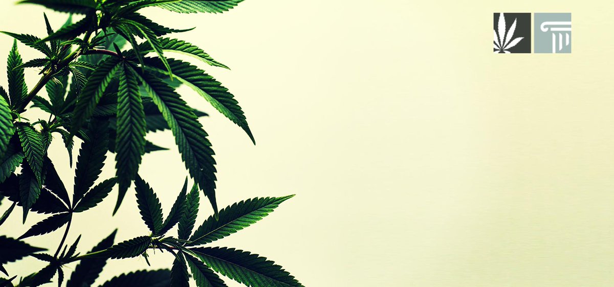 Here’s a roundup of the results of the marijuana legalization ballot votes at the 2022 midterm elections.

zpr.io/jL7MRjpm8rug