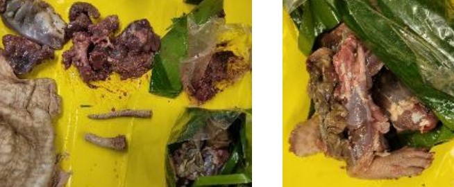 CBPChicago's tweet photo. Is that a foot? Minneapolis CBP seized a shipment containing 5 plastic jars w/ raw meat &amp; animal parts that were not livestock or avian species. U.S. FWS identified the animal to likely be a species of rodent. CBP closely works w/ other government agencies to safeguard the U.S. https://t.co/275bZizxvm