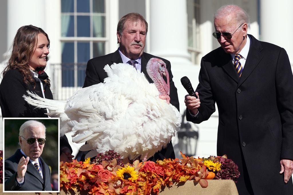 Biden cracks 'red wave' joke at turkey pardon as Thanksgiving gets pricier trib.al/dhlAo5J