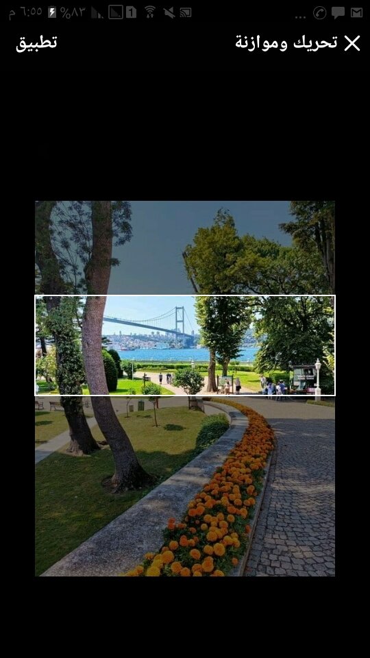 Mostafa Yasen tweet media