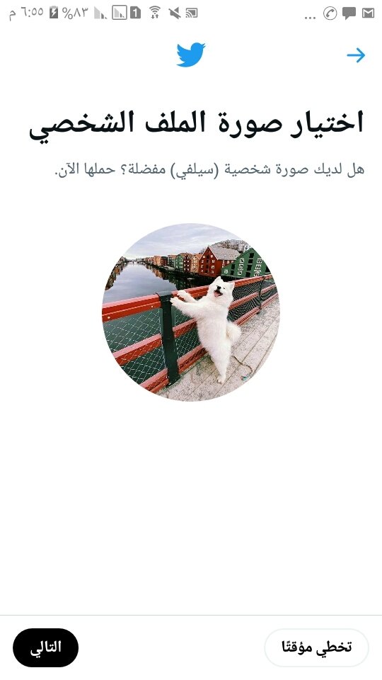 Mostafa Yasen tweet media