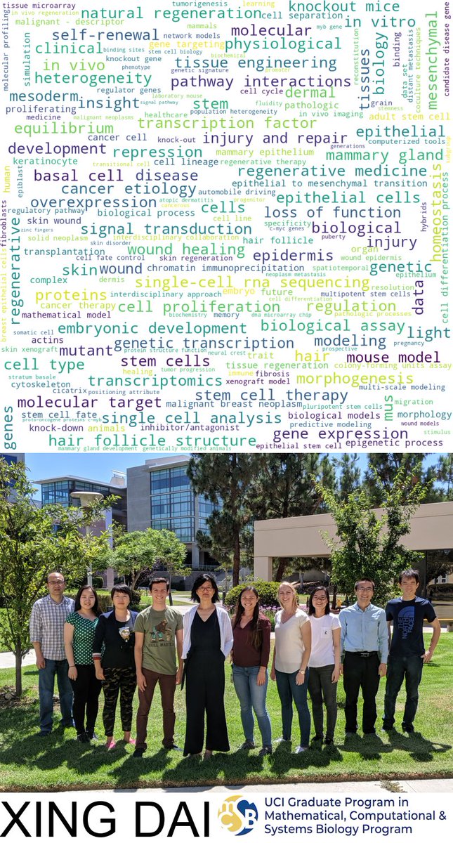 MCSB UCI tweet media