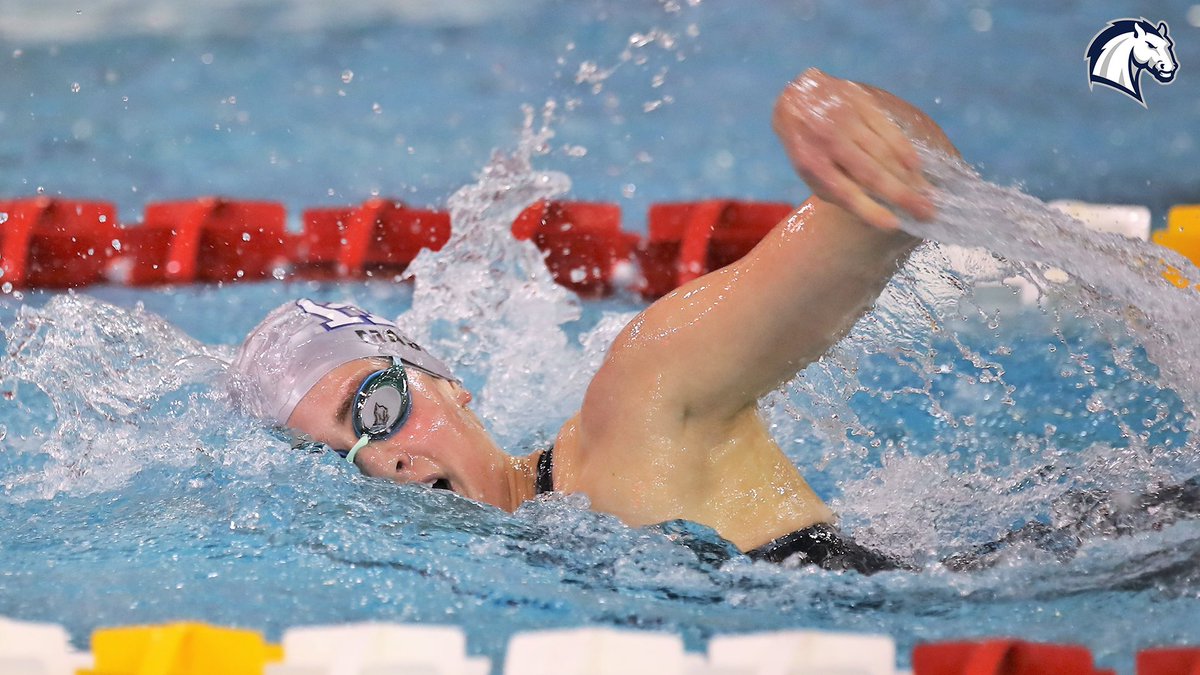 Hillsdale College Chargers tweet media