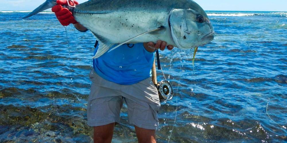 Rods and Lures tweet media