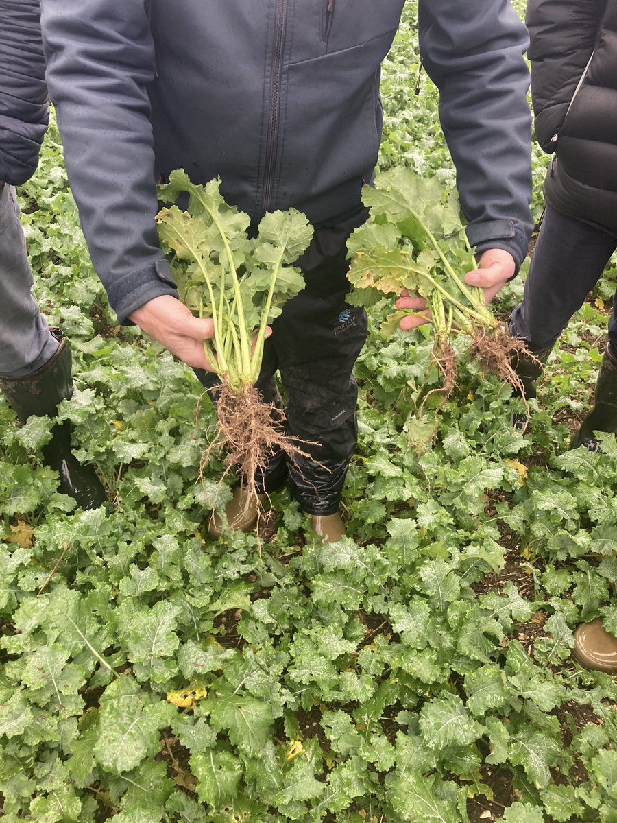 nickpeters1989's tweet photo. Very interesting day up on the Lincolnshire wolds with colleagues for a look round Tim Lamyman’s record breaking crops/farm and to see what tips we can learn and share with growers… 👀🚜🌾🚛#BarnBusting @BionatureAgri #Nutrition #settingthefoundations #buildingblocks https://t.co/hhJdUPzG3s