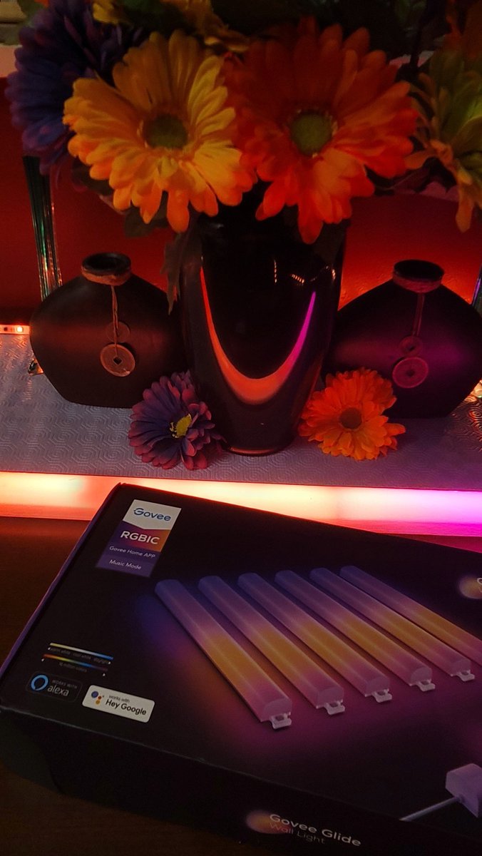 FaintlyCurious's tweet photo. Looks like someone's happy I got the #Govee #Glide.  Govee in Every #Room !! #NeonRope  #Outdoor #Stringbulbs #Led #rgbic #lights #GoveeBlackFriday  #lighting #decor @GoveeOfficial #gaming #Razer #walmart #GoveeChristmas #livingroom #bedroom #home #smarthome #wifi #indoor #Gift https://t.co/D09FmAJXcw